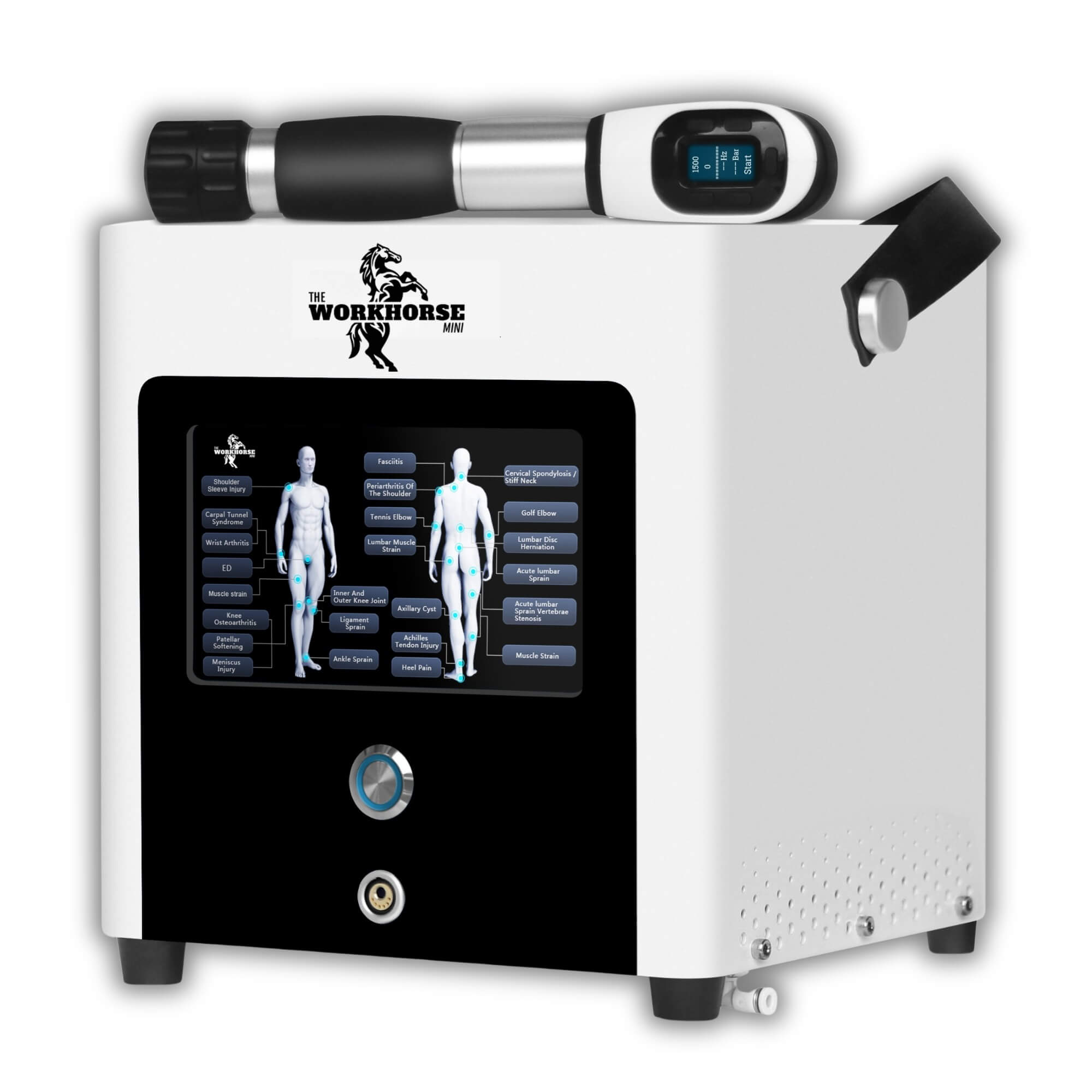 workhorse shockwave performance